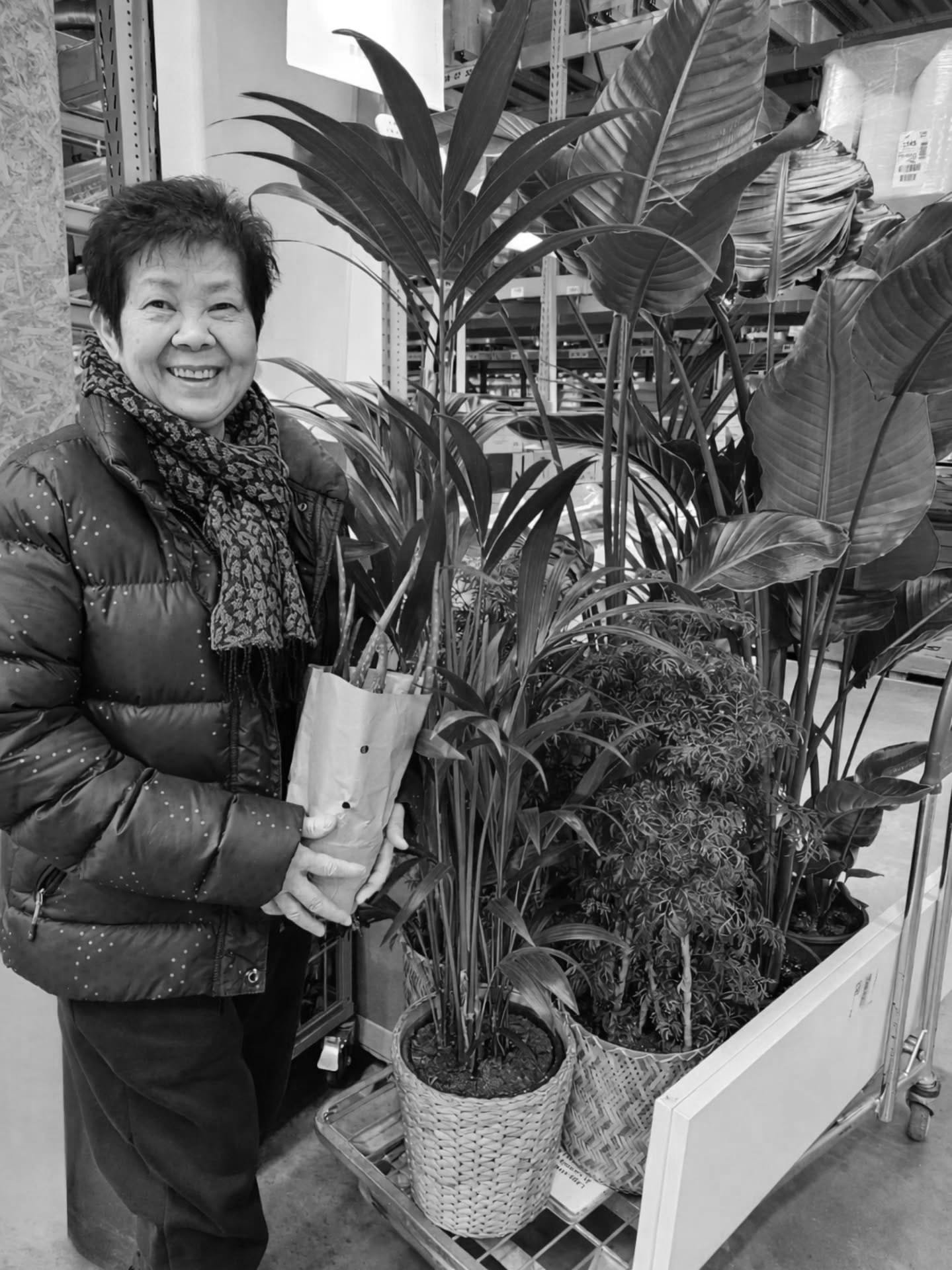 Mamma köper växter